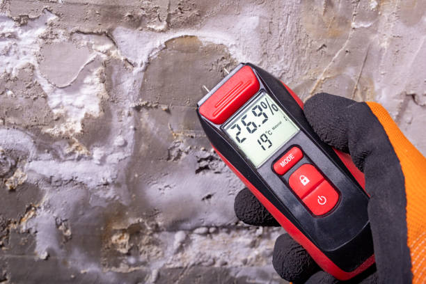 Trusted Willamina, OR Mold Removal Experts