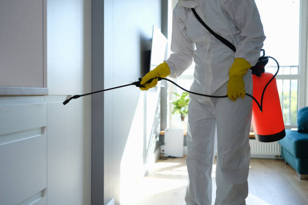 Office Mold Removal Services in Willamina, OR