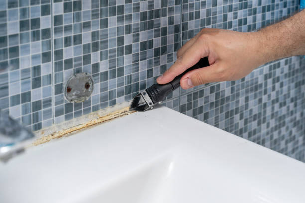 Best Mold Cleaning Services  in Willamina, OR
