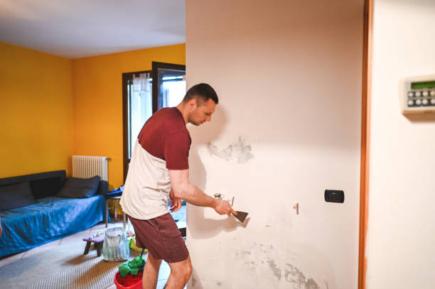 Best Mold Removal Near Me  in Willamina, OR